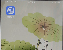 小编教你智联招聘APP隐藏简历的图文操作。