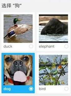 我来教你多说英语APP的具体使用过程讲解。