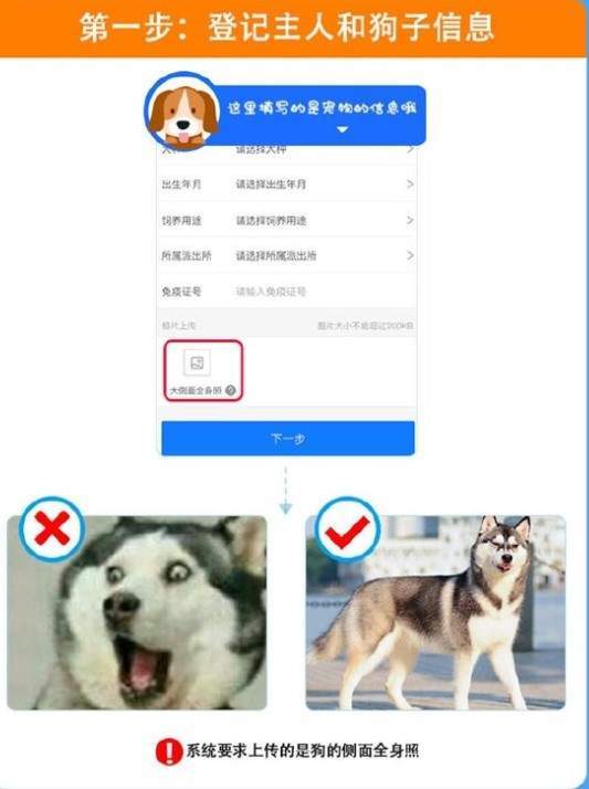 使用支付宝APP办理狗证的操作过程截图