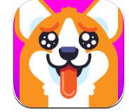 小编分享在女主与狗里进行聊天的简单操作。