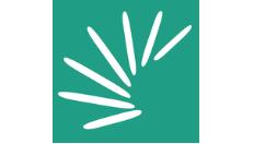 关于扇贝单词设置微信打卡的操作流程。