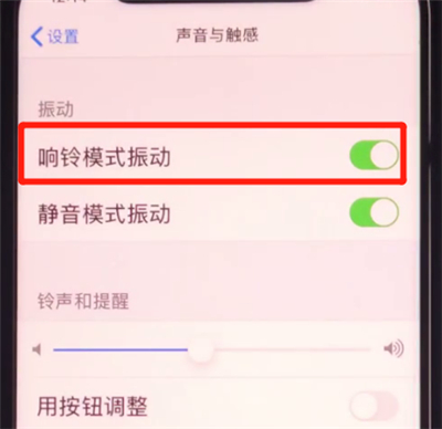 iphone11关闭响铃振动的方法步骤截图