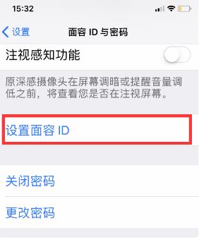 苹果11设置密码的详细教程截图