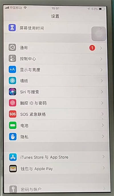 苹果手机设置截屏快捷键的方法步骤截图