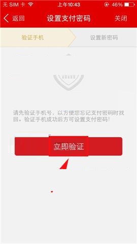 国美在线APP设置支付密码的操作流程截图