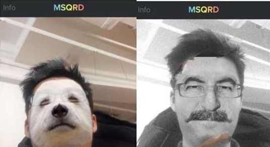 小编教你msqrd的具体使用流程介绍。