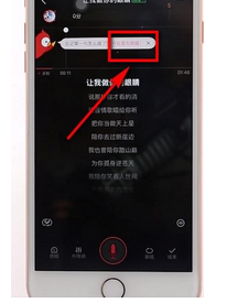 全民K歌中唱SSS级的具体步骤截图