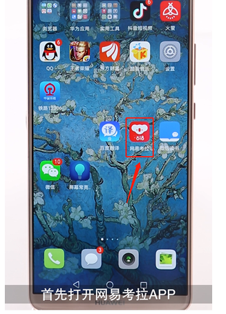 关于网易考拉中加入购物车的详细图文讲解。