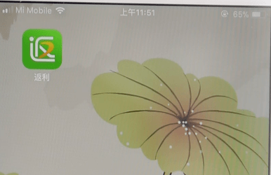 今天分享返利网中将金额提现到支付宝的具体方法。