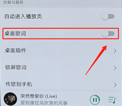 QQ音乐解锁桌面歌词的基础操作截图