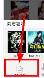 在熊猫看书APP中导入本地文件的具体流程截图