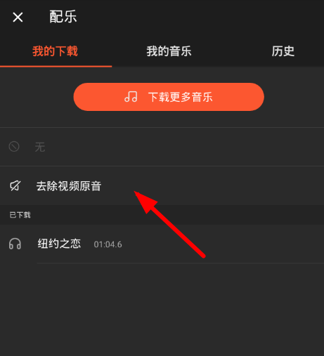 乐秀APP去除视频原声的操作过程截图