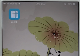 我来教你在百词斩APP中进行开始背单词的具体方法。