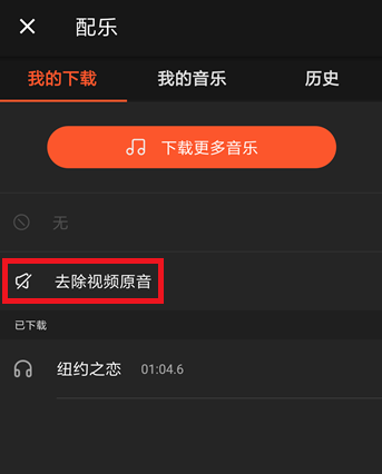乐秀视频编辑器APP去除视频原声的操作过程截图