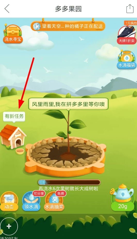 在拼多多果园里养狗的简单教程我来教你