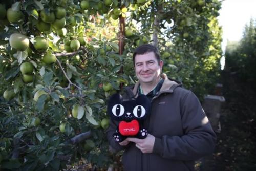 我来教你在天猫农场中偷取阳光的详细讲解。