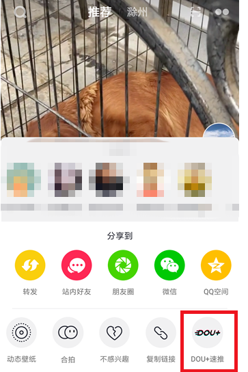 抖音里dou+的详细使用过程截图