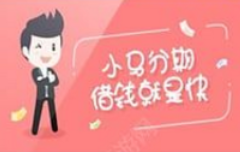 关于在小马分期白领版APP里进行借款的详细操作。