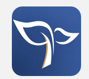 关于人教微研APP观看视频课程的相关操作讲述。