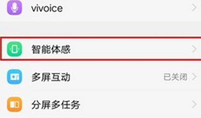 在vivoz3中打开抬手亮屏的方法截图