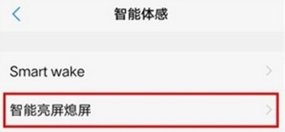 在vivoz3中打开抬手亮屏的方法截图