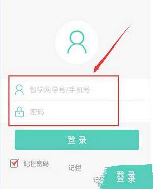 智学网APP查看成绩的操作流程截图