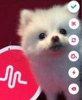 小编教你muse APP设置隐藏地理位置的操作流程。