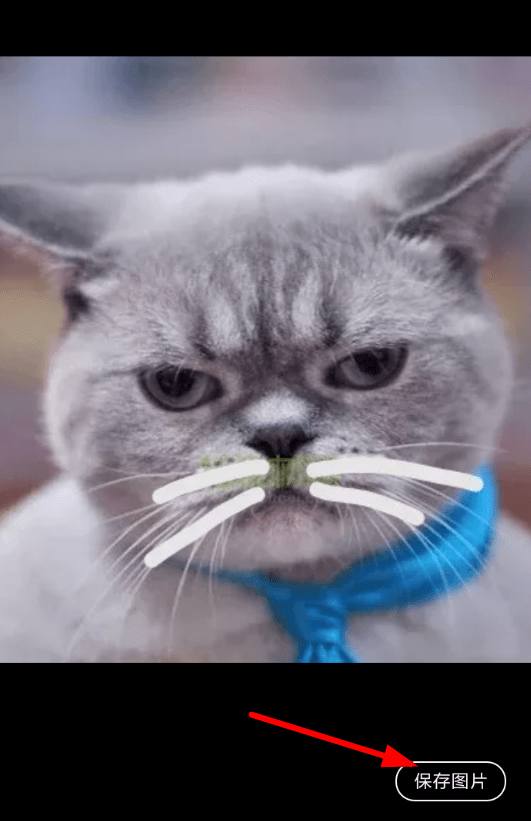 快点阅读app保存图片的操作过程截图