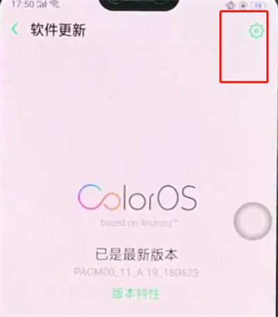 在OPPO R15x中关闭系统自动更新的具体讲解截图