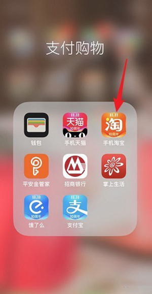 在淘宝里查看我的双11的详细操作截图