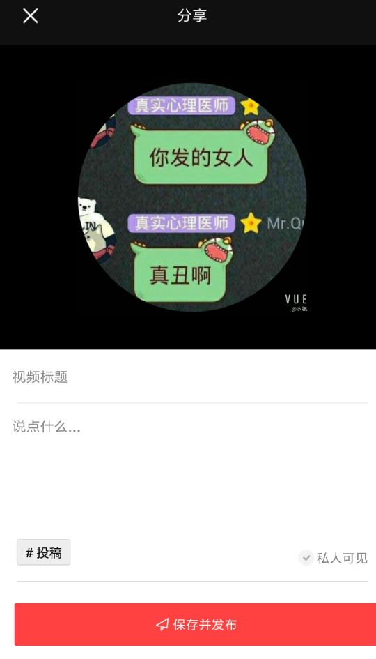 vue上传视频的简单操作截图