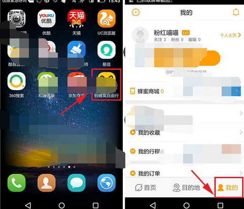 蚂蜂窝自由行APP设置背景的操作流程截图