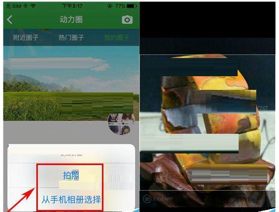 健康猫app更改动力圈封面的操作过程截图