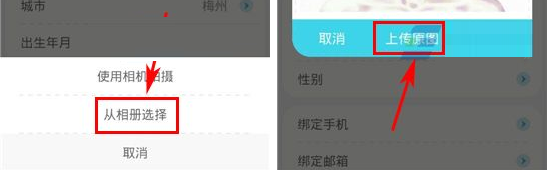 收留我APP上传照片的操作流程截图