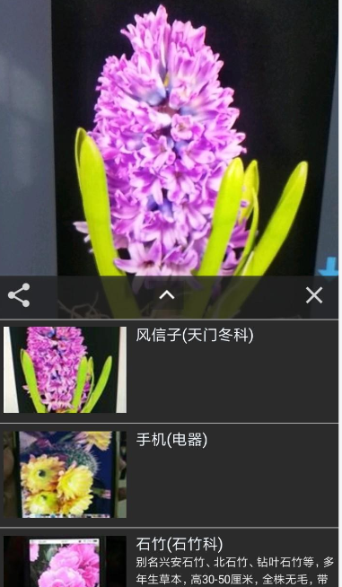 拍照识花APP的使用过程讲解截图