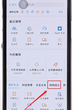 使用支付宝刷脸支付的详细操作截图