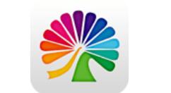 小编分享大麦APP设置免密支付的图文操作。