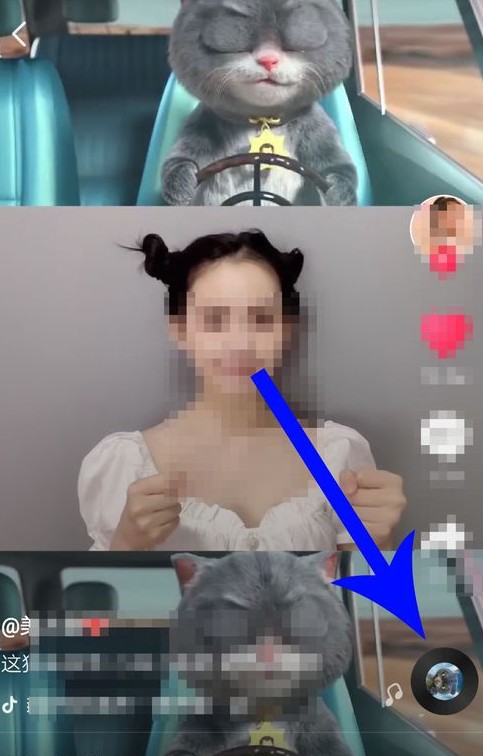 抖音中与斑布猫合拍的具体操作步骤截图