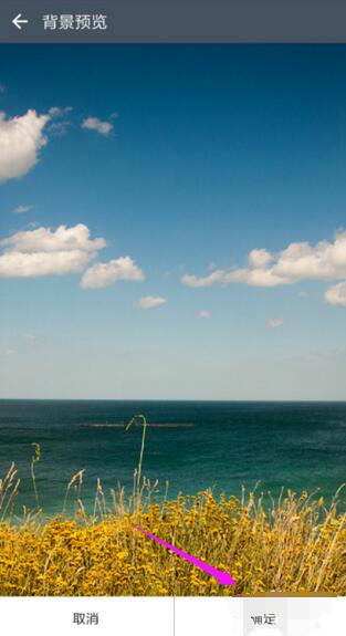 潮信内聊天背景的具体设置步骤截图