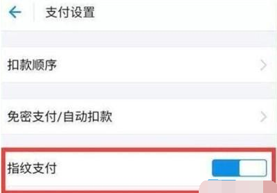 iqoopro手机支付宝指纹支付的具体设置方法截图