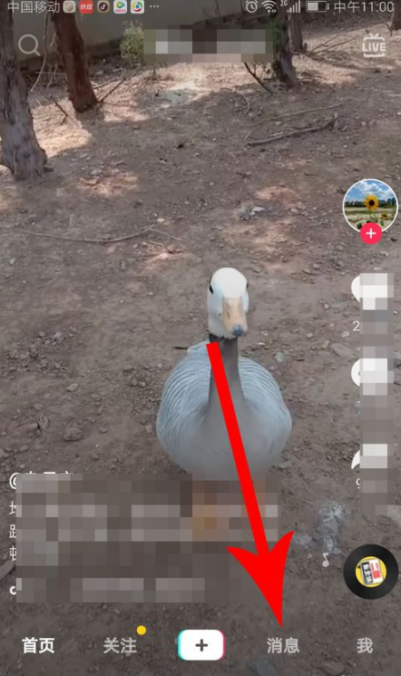 抖音建群的操作过程介绍截图