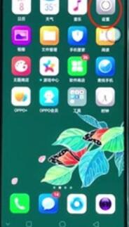 oppoReno Ace取消拨号按键音的详细说明截图