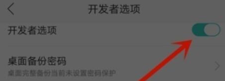 OPPO k5关闭开发者选项的详细步骤截图