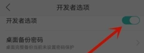 oppoReno Ace关闭开发者模式的方法步骤截图