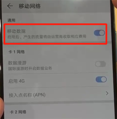 华为p30pro中开启流量的操作教程截图