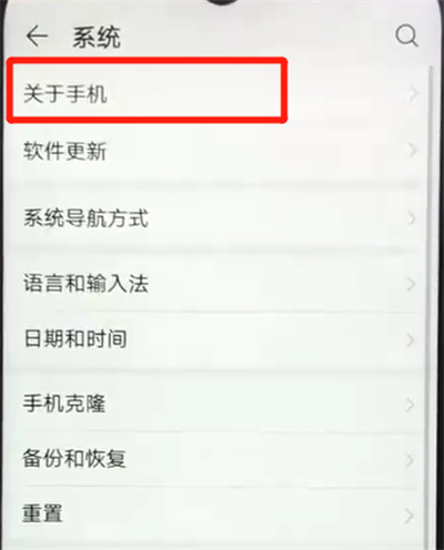荣耀畅玩8a打开开发者模式的操作教程截图