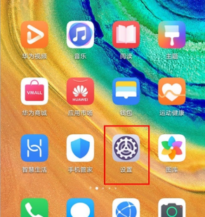 华为mate30pro设置显示实时网速的操作步骤截图