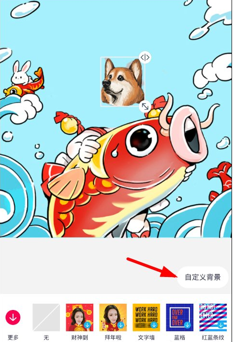 在天天P图中设置照片背景的简单教程截图