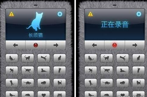 关于人猫交流器app使用的详细讲解。