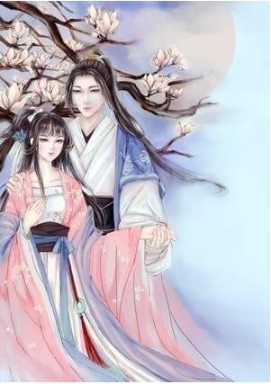 小编教你使用美图秀秀制作小说封面的具体方法。